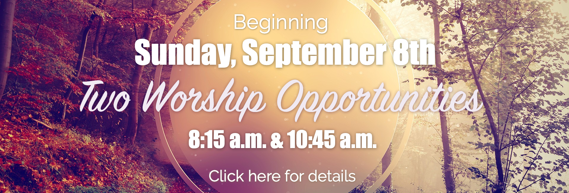 Home LOCUST HILL BAPTIST CHURCH